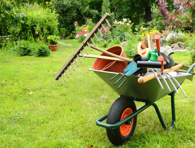 Gartenpflege, Rasenpflege